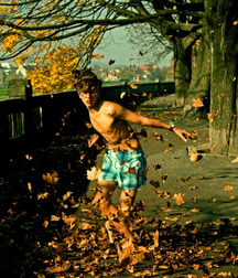Billy's Hot Picks 667 5824ff454f6a5.jpg