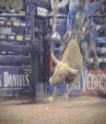 Billy's Hot Picks 686 Gifs 582cb9071e287.gif
