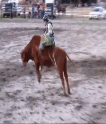 Billy's Hot Picks 686 Gifs 582cb90fddc24.gif