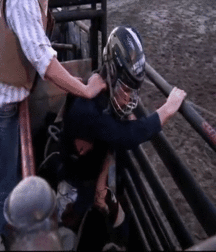 Billy's Hot Picks 686 Gifs 582cb913a1049.gif