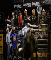 Billy's Hot Picks 686 Gifs 582cb91c34796.gif
