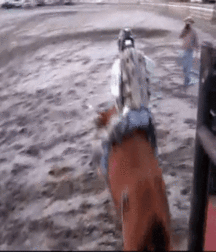 Billy's Hot Picks 686 Gifs 582cb92090003.gif