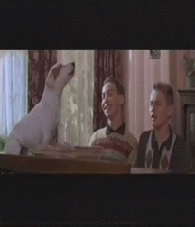 Billy's Hot Picks 746 Leonardo Dicaprio Gifs 58408b95cddf9.gif