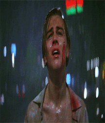 Billy's Hot Picks 746 Leonardo Dicaprio Gifs 58408b9f1345b.gif