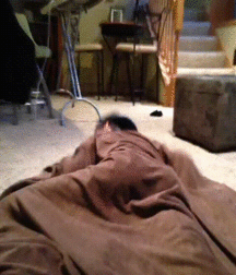 Billy's Hot Picks 754 Gifs 584630af672ed.gif