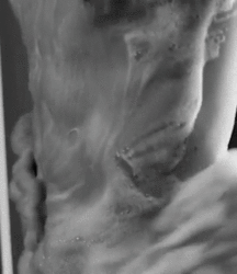 Billy's Hot Picks 754 Gifs 584630e897067.gif
