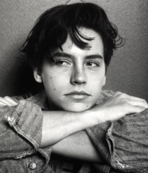 Billy's Hot Picks 753 5846312cdd276.png