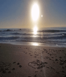 Billy's Hot Picks 760 Gifs 5847626803915.gif