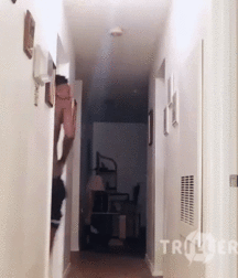 Billy's Hot Picks 760 Gifs 58476273399a5.gif