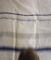 Billy's Hot Picks 760 Gifs 584762af0ce72.gif