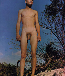 Billy's Hot Picks 799 Softies 58728b7d71587.jpg
