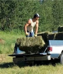 Billy's Hot Picks 846 Country boys 58c1ec0e96b8d.jpg