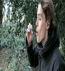 Billy's Hot Picks 869 Jack and Finn 58d6e51e0e50d.gif