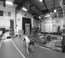 Billy's Hot Picks 877 Gifs 58dae62810e1c.gif