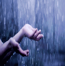 Billy's Hot Picks 877 Gifs 58dae6572ecfd.gif