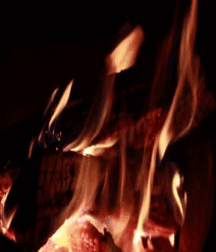 Billy's Hot Picks 883 Gifs 58db28c1c5e0f.gif