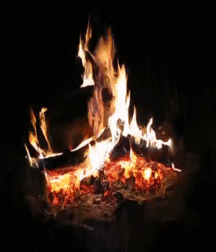 Billy's Hot Picks 883 Gifs 58db28c71aefa.gif