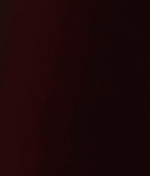 Billy's Hot Picks 905 Gifs 590292970413c.gif