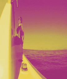 Billy's Hot Picks 927 Gifs 5921f0327fa7a.gif