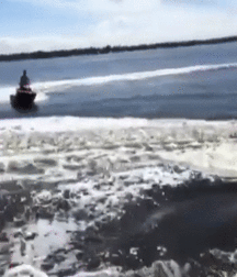 Billy's Hot Picks 927 Gifs 5921f04d41083.gif