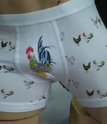 Undies 02 573e13e4a5d60.jpg
