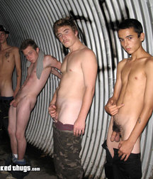 The Bad Boys 04 57423bc201191.jpg