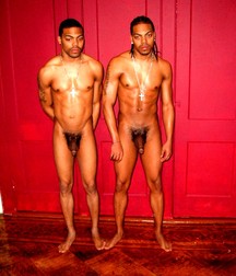 Twin Brothers 03 574cf15708cf9.jpg