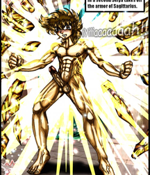 Saint Seiya Yaoi 3 586b2db6b2aba.png