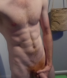 Carrots 05 58d59ee3dc3e6.jpg