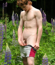 Carrots 06 58ed6a519d29b.jpg