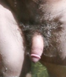 Hairy Dicks 13 58f01c5768549.png