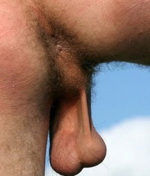 Boys Balls 13 5a8ca49c1e6bb.jpg