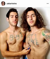 Twin Brothers 07 5a8f5b660a4d7.jpg