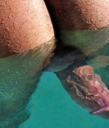 That Ass 32 5a95d302ab612.jpg
