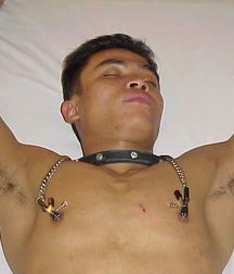 Tasty Nipples 19 5a95d77be30e2.jpg
