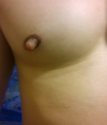 Tasty Nipples 23 5ac28d40c96a5.jpg