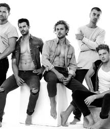 Male Sensuality 04 5ad43088963e2.jpg