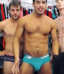 Undies GIFs 01 5b7647a413384.gif