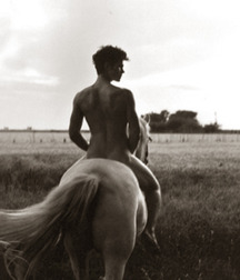 Cowboys 04 5b9c9da75716d.jpg