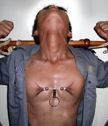 Tasty Nipples 31 5bdf8d052f3e8.jpg