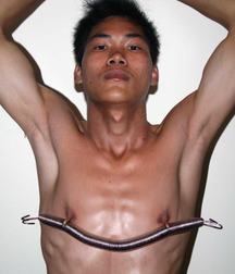 Tasty Nipples 31 5bdf8d0d27cb0.jpg