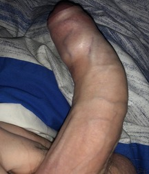 Showme Yours 81 5cb92e4e7ca01.jpg