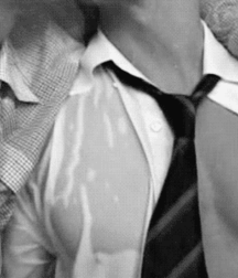 Tasty Nipples 36 5cca21500e053.gif