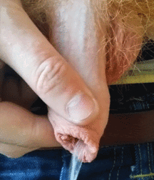 Golden Boys Piss Fetish Porn 08 5e62f2d5ac93f.gif