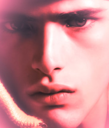 1000 handsome Guys red soft 001 5d3793a6155ac.jpg