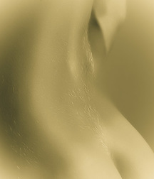 1000 handsome Guys Sepia 001 5d38cef6b24f3.jpg