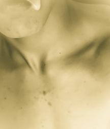 1000 handsome Guys Sepia 001 5d38cf045b0cb.jpg