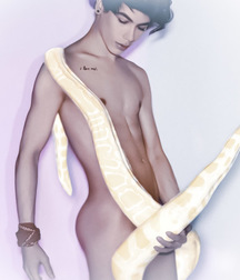 1000 handsome Guys Softbea 001 5d38d59920e54.jpg