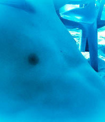 1000 handsome guys in Aqua 007 5d4d1a2f15a95.jpg