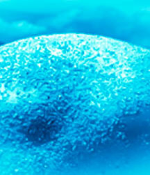 1000 handsome guys in Aqua 007 5d4d1a3041738.jpg